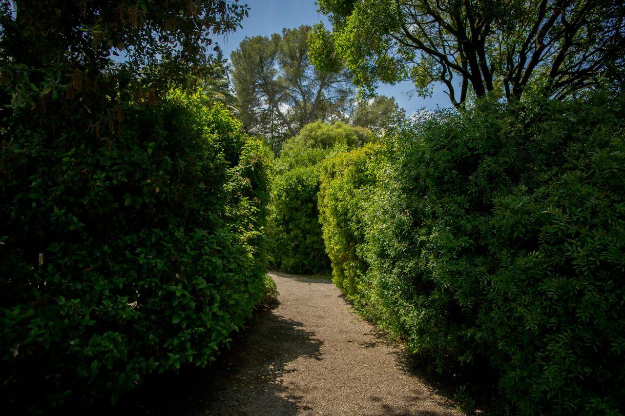 Casa Vina De Alcantara Jerez de la Frontera Exteriér fotografie